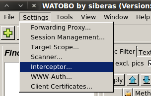 Start WATOBO interceptor